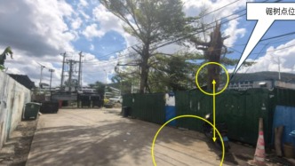 三亞一名工人在臺風“劍魚”過后清障作業(yè)鋸樹墜亡，事故調(diào)查報告發(fā)布