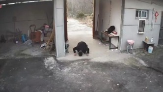 馬上評｜80后男子跪別老宅，為何戳中人們的淚點(diǎn)