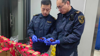 上海海关：已监管进口智利樱桃1974余吨，同比增132%