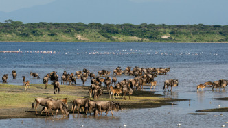 聰明躺平、享受當(dāng)下、長(zhǎng)期主義，非洲是太陽(yáng)的陰影還是投資的藍(lán)海？｜907編輯部