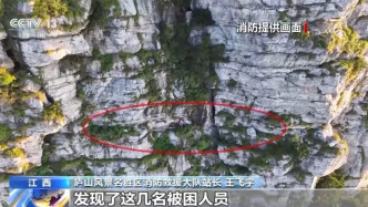 你的“野”，谁来买单？