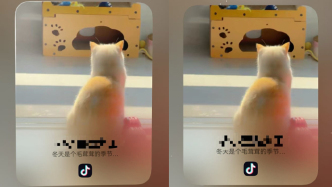 抖音的“鸿蒙速度”！新上线30多项功能，首创“小火人”动态卡片，携华为Mate双旗舰重构新玩法