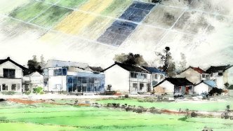 护航市民“菜篮子”，上海农科院破局农兽药残留筛查