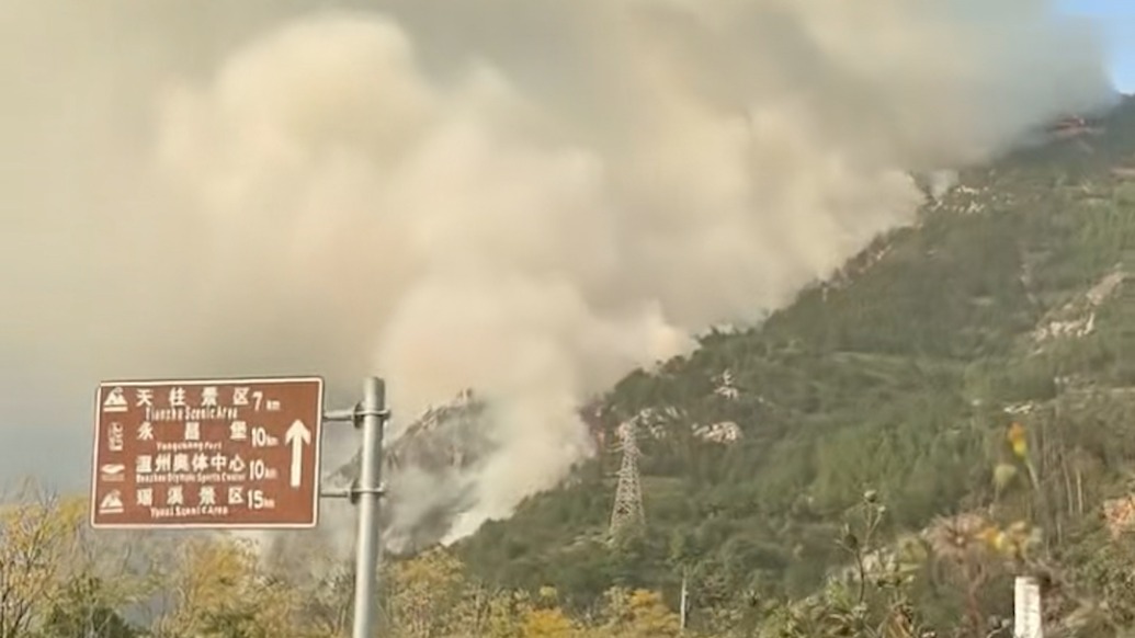 溫州瑞安一地發(fā)生山火，鎮(zhèn)政府：無人員傷亡