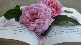 “一剧两授”是否违反“独家首轮上星”约定?