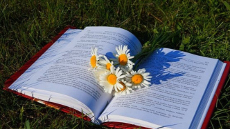 合同约定奖项归协拍方,出品方能赖账吗?