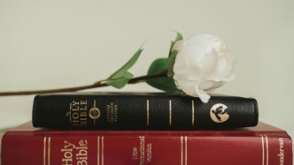 发行方结算单PK官方数据,票房以何为准?