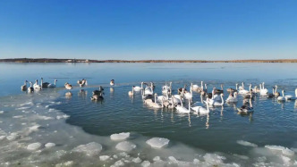 黑河东居延海实现连续21年不干涸