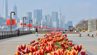 “上海市人民城市研究基地”正式揭牌