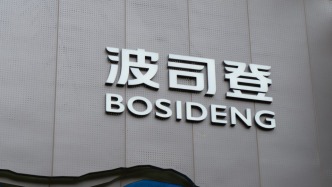 波司登上半財(cái)年凈利增逾5%，“雪中飛”品牌營(yíng)收下滑3%