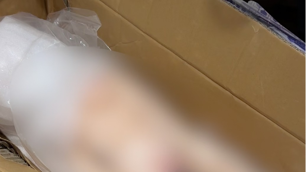 拆箱即不适！网购“童颜娃娃”为儿童体态，还裸露下体