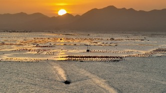 人民日?qǐng)?bào)金軒：踐行大食物觀的福建實(shí)踐和經(jīng)驗(yàn)啟示