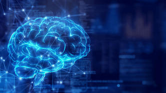 类器官研究揭示：大脑天生预置“操作系统”