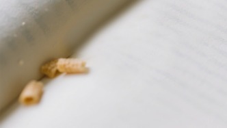 夜讀｜在書里留下蛋卷屑的人