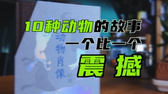 视频｜漫画家寂地：十种我们既熟悉又陌生的动物