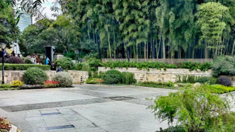 毗邻外滩、豫园，上海这座公园今起24小时全域开放