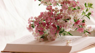 影片投資打水漂？錢去哪了，支出如何自證？