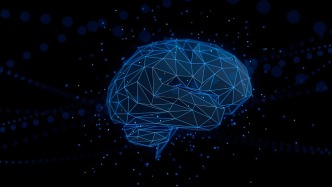 人脑可能存在4个重大“拐点”