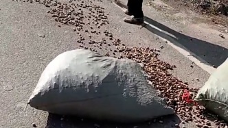 小貨車上掉落四袋花生，大姐騎電動車追出五里地提醒