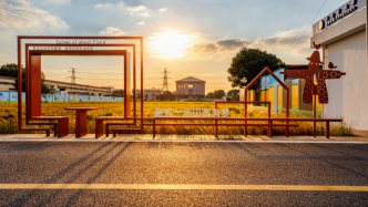 数字赋能环境治理，浦东绘就和美乡村新画卷