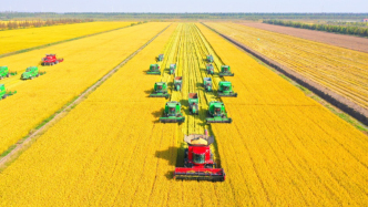 人均管地面积翻倍，智慧农业“光明模式”交出亮眼成绩单