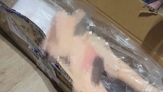 澎湃回声｜多家电商平台处置下架“儿童形象情趣玩偶”