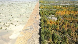 歷史上的今天｜1985年12月6日，三北防護(hù)林一期工程宣告完成