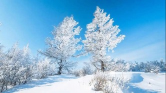 夜讀｜冷，是一種味道