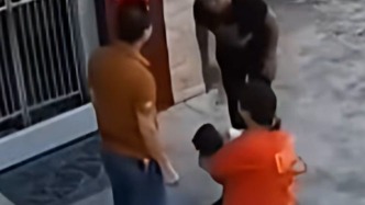 廣東陸豐確認(rèn)陳招娣見義勇為行為：2個(gè)月前徒手接住墜樓兒童