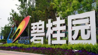 碧桂园境内债务重组方案获债权人通过，9只债券本金总额超137亿元