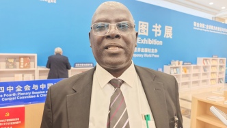 “我们一直将中国视为发展榜样”，肯尼亚学者谈非洲崛起路径