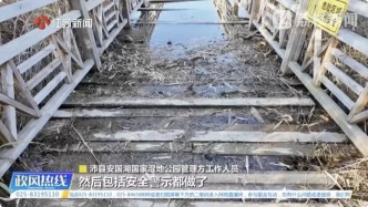 江苏沛县一国家湿地公园验收仅四年：栈道断裂、观鸟塔关闭