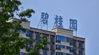 碧桂园：前11月销售303亿元、交付房屋超14万套，境内外债务重组已基本落地