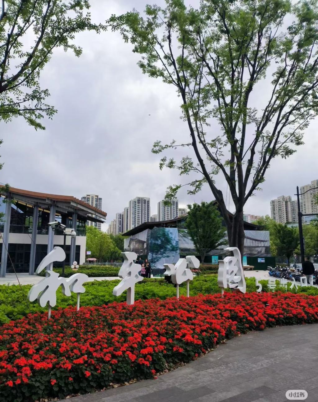 当24小时公园图书馆遇上广场舞 7 resize,w 1024