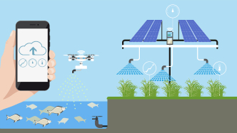 崇明有個(gè)神奇漁場，5G讓魚兒“開口說話”