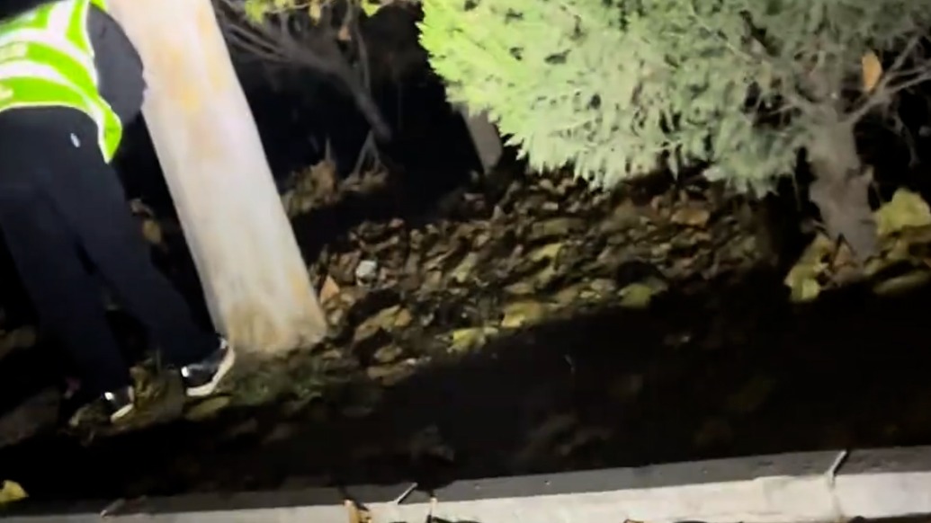 深夜遇代驾摔倒躺路边，货车司机掉头守护半小时