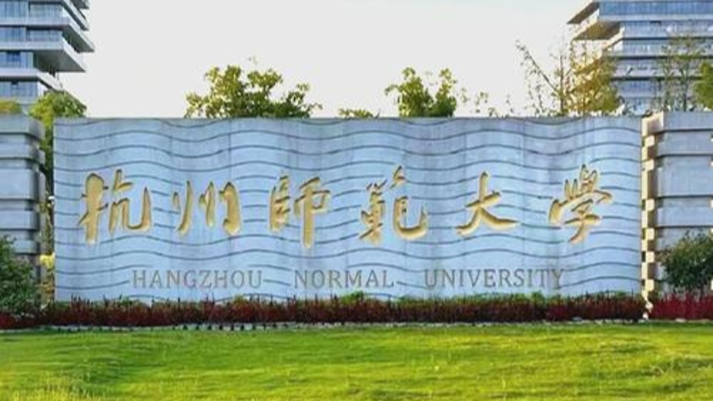 公益项目受助名单被指照搬人名大全,杭州师范大学通报:已组建调查小组