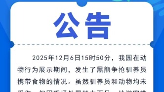 黑熊“袭击”饲养员后，杭州野生动物世界致歉：取消黑熊行为展示