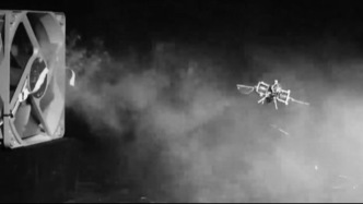 昆虫级微型飞行机器人问世