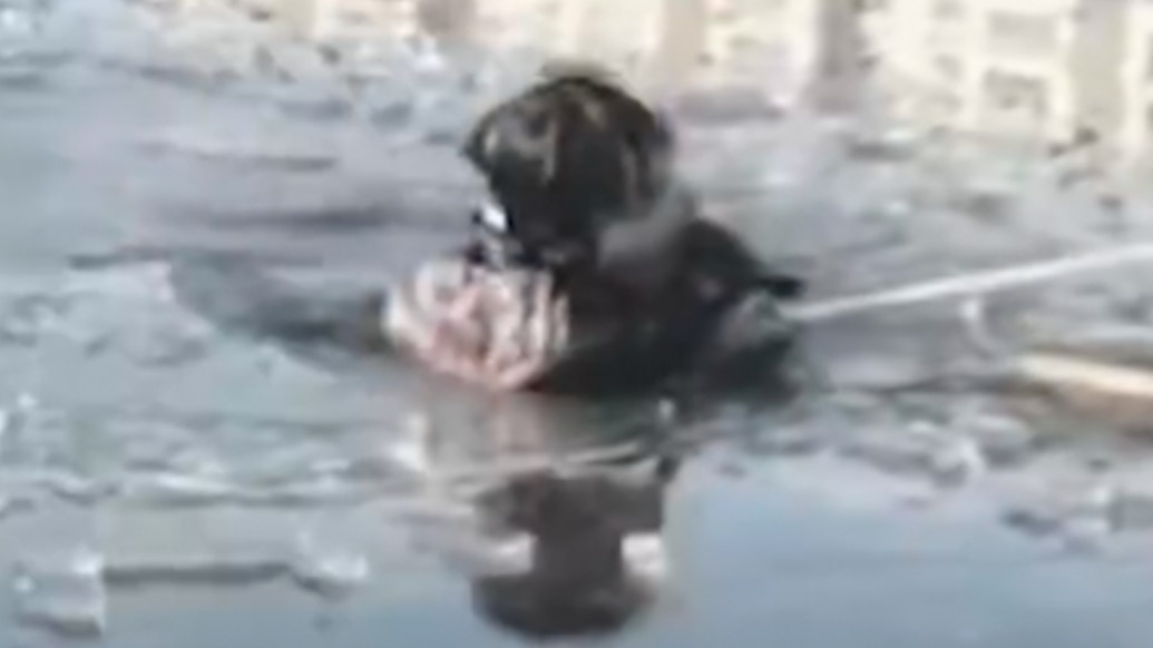 “我身體輕，我去救”，13歲女孩下冰窟救男童，怕父母擔(dān)心隱瞞救人經(jīng)過