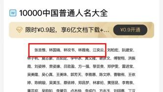 新華社四問“全網(wǎng)最忙五人組”：假名字暴露出一串真問題