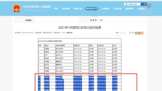 安徽六安裕安区政务清单照搬百度人名库，调查组：情况基本属实