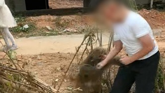 男童伸手逗野猴瞬間被咬傷，目擊者稱(chēng)市民幫助清洗創(chuàng)面，醫(yī)生提醒盡快接種疫苗