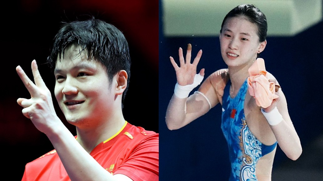 樊振東、陳芋汐等，擬記大功！