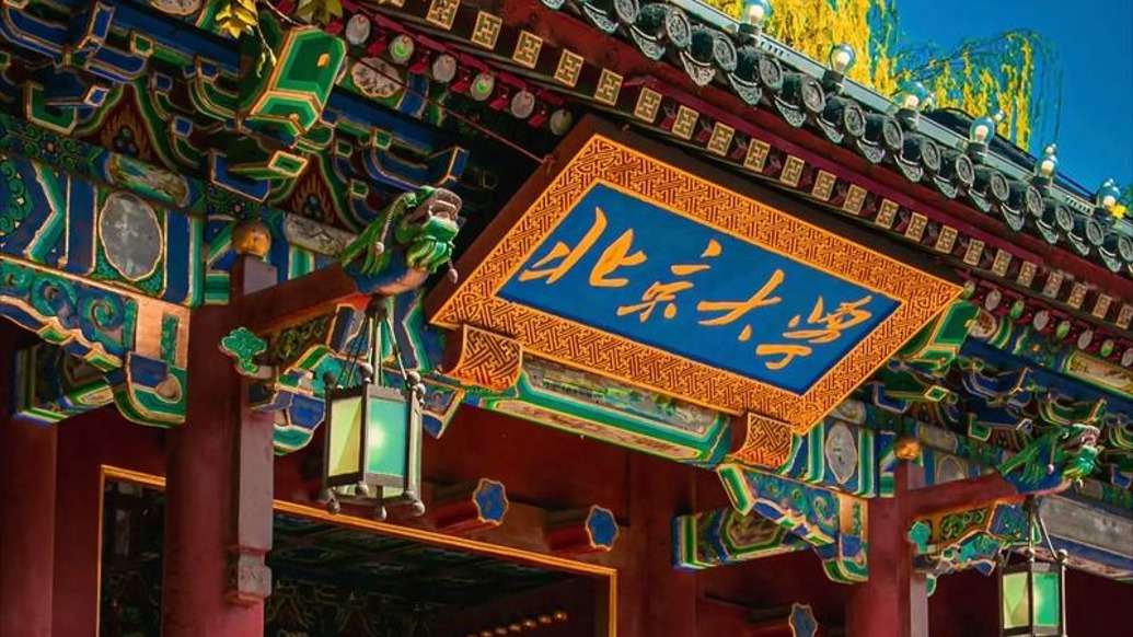 任羽中被“双开”后,北京大学党委召开以案促改促治生活会_时政湃_澎湃新闻-The Paper