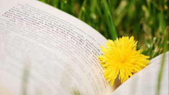 如何認(rèn)定導(dǎo)演存在更改劇本、刪減情節(jié)、缺失鏡頭等違約行為？