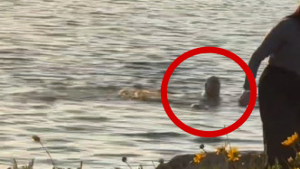 阿姨拍照不慎落水，只會“狗刨式”游泳的遛狗小伙果斷施救