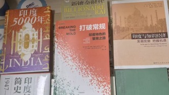 停滞与繁荣：打破常规的印度式赶超之路