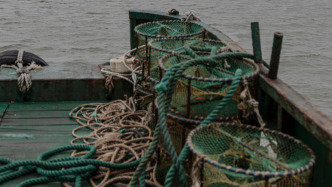 长江十年禁渔各项工作取得阶段性成效：22万退捕渔民参加养老保险