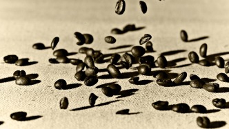 羅新｜高泰若：歐洲國家除荷蘭外都曾考慮過禁止咖啡